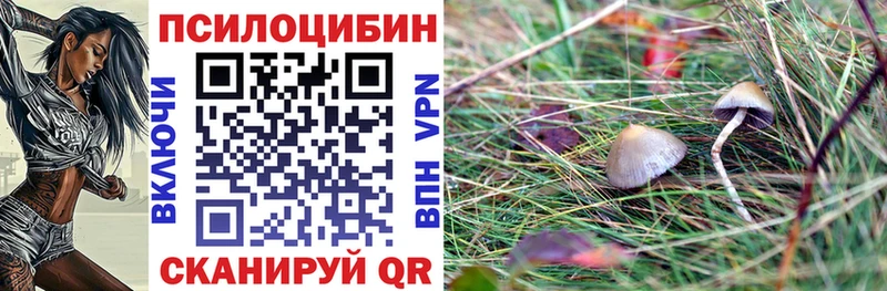 Галлюциногенные грибы Magic Shrooms Пролетарск